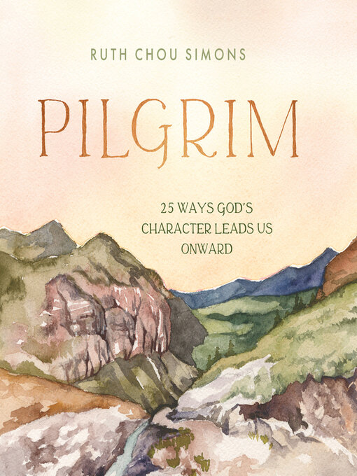 Cover image for Pilgrim